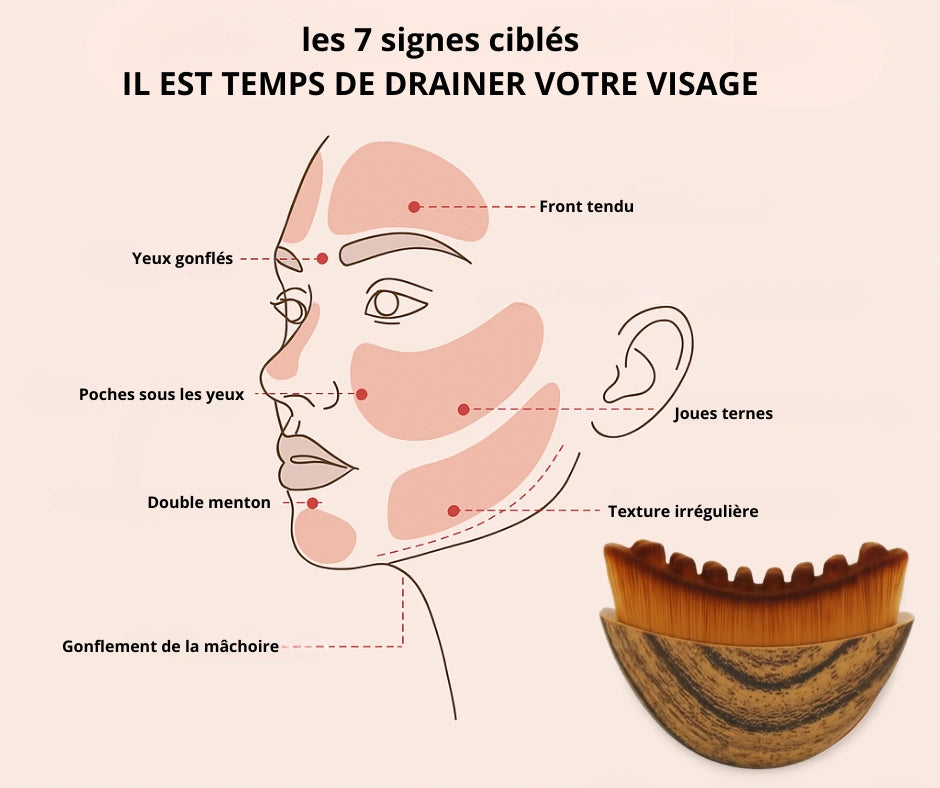 Brosse Drainage Lymphatique