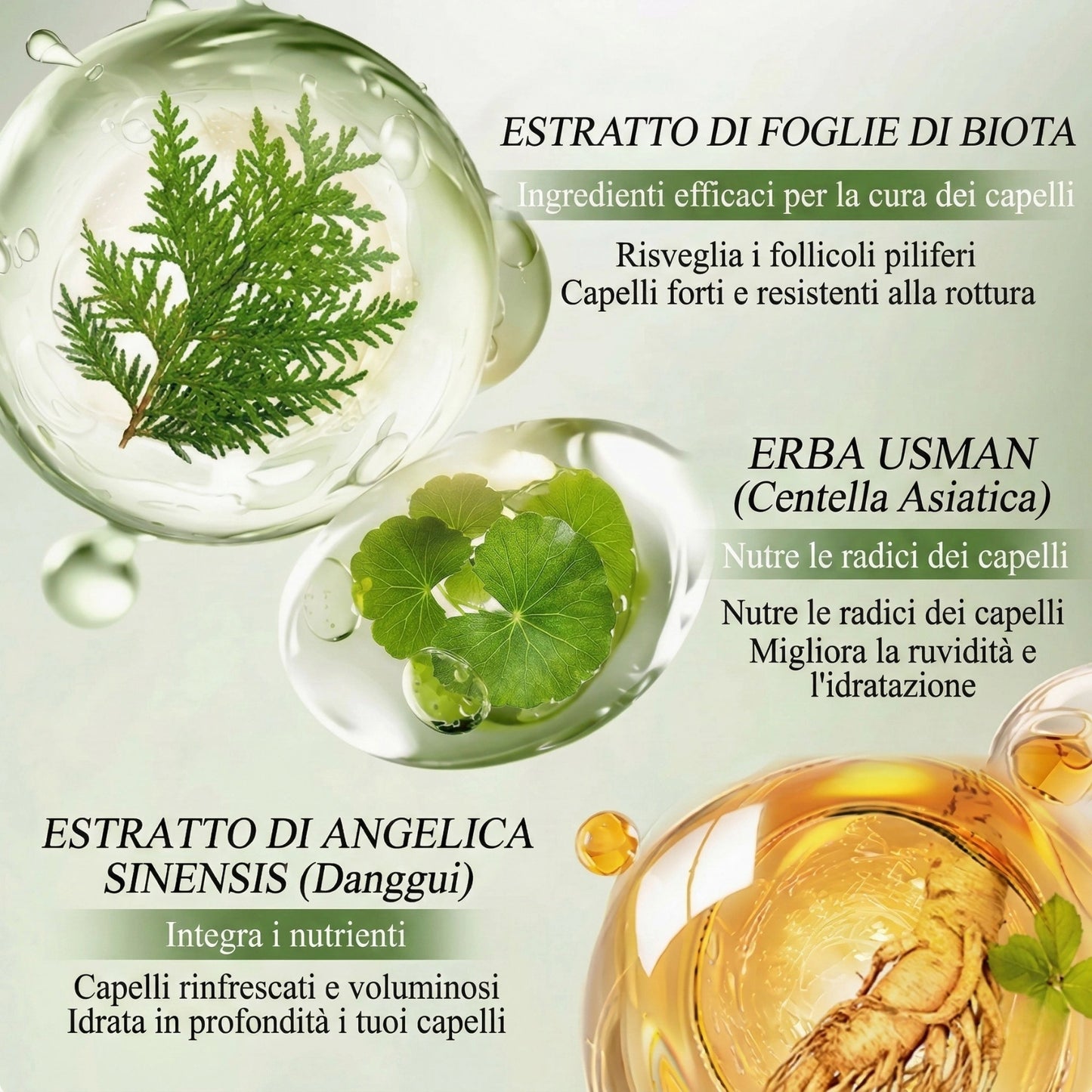 Trattamento Solido Artigianale: Anti-Caduta, Crescita e Anti-Forfora | 100% Naturale