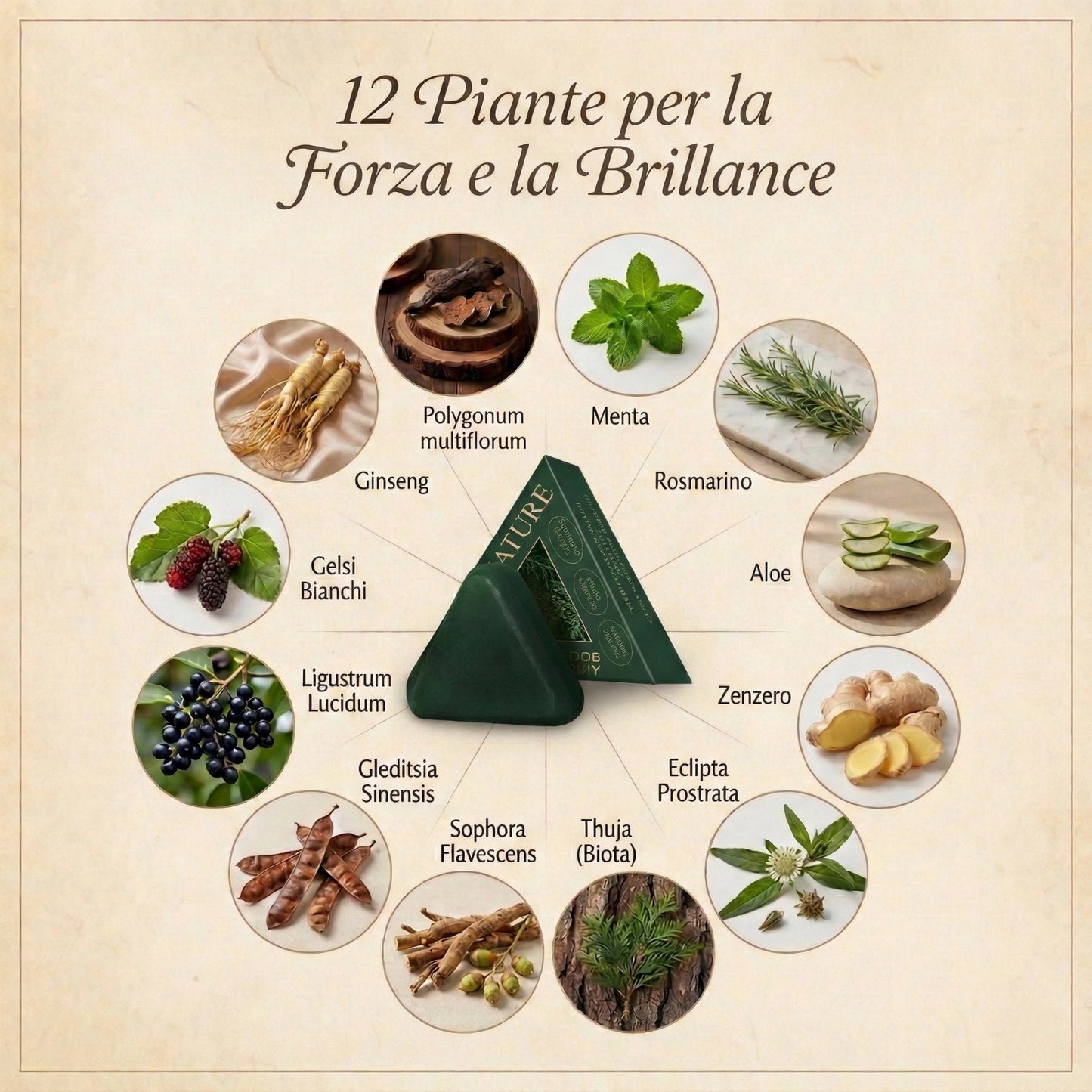 Trattamento Solido Artigianale: Anti-Caduta, Crescita e Anti-Forfora | 100% Naturale