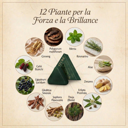 Trattamento Solido Artigianale: Anti-Caduta, Crescita e Anti-Forfora | 100% Naturale